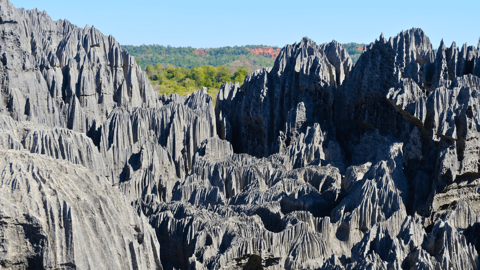 Tsingy de Bemaraha – Aventure